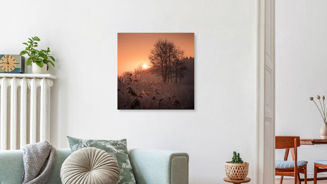 first light, Deutschland – Fotokunst von Anke Butawitsch als Poster oder Acrylglasbild