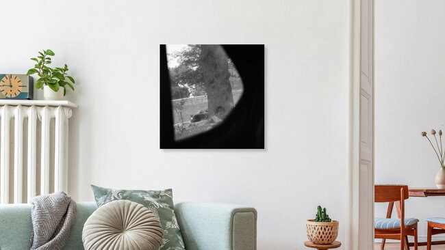 Am Straßenrand, India – wall art by Shantala Fels as Poster or Acrylic Glass Print