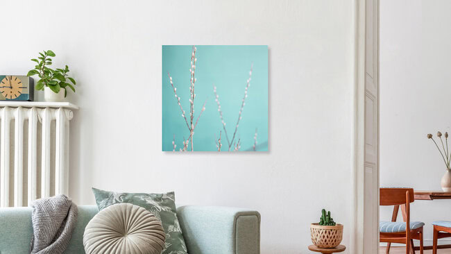 Palmkätzchen*, Deutschland – Fotokunst von Gabriele Spörl als Poster oder Acrylglasbild