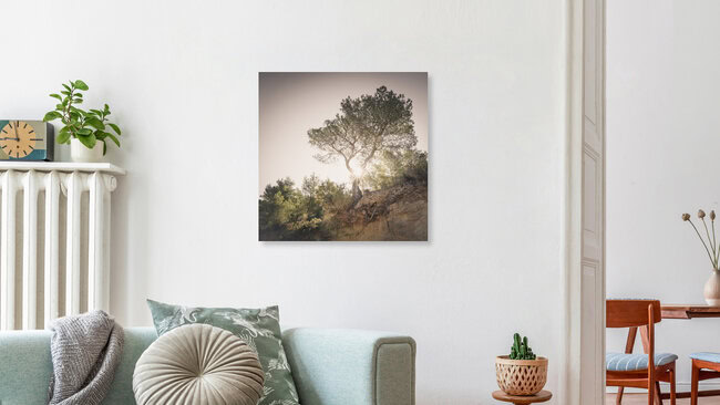 der einsame baum - eine ibizenkische impression, Spanien – Fotokunst von Dennis Wehrmann als Poster oder Acrylglasbild