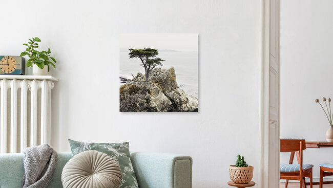 Lonely, Vereinigte Staaten – Fotokunst von Vera Mladenovic als Poster oder Acrylglasbild