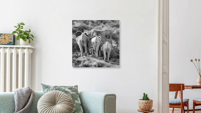Elephant butt, Namibia – wall art by Dennis Wehrmann as Poster or Acrylic Glass Print