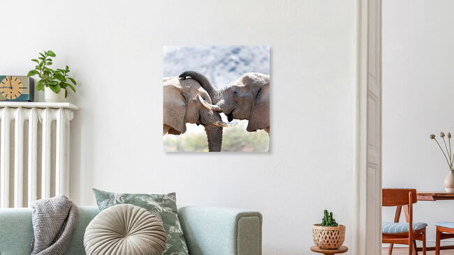 Elefantenliebe, Namibia – Fotokunst von Dennis Wehrmann als Poster oder Acrylglasbild