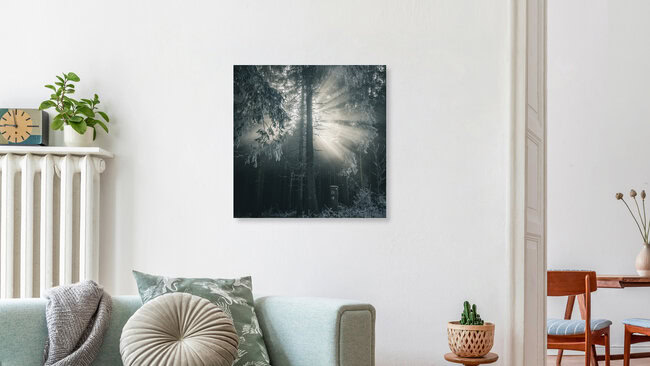 Sonnenstrahlen, Deutschland – Fotokunst von Sonja Lautner als Poster oder Acrylglasbild