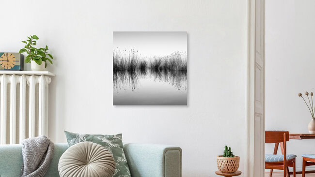 Reed banks, Germany – wall art by Holger Nimtz as Poster or Acrylic Glass Print