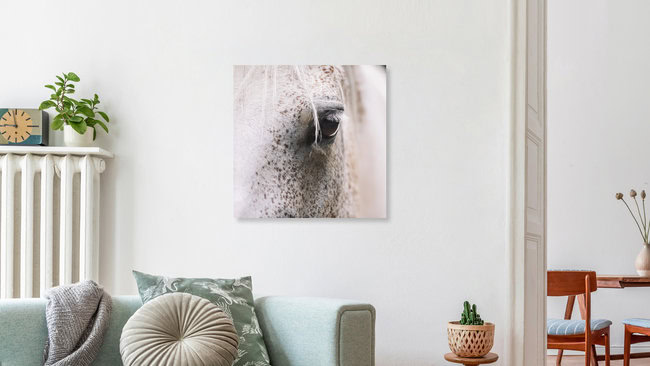 Auge eines Pferdes, Deutschland – Fotokunst von Nadja Jacke als Poster oder Acrylglasbild