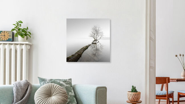 The Wind Stands Silent, Germany – wall art by Ronny Behnert as Poster or Acrylic Glass Print