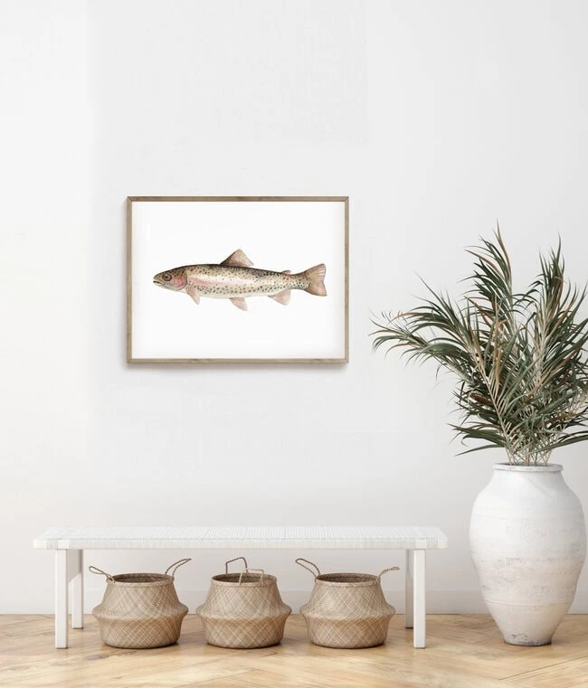 'Sea Life - Rainbow Trout' – Wall Art by Christina Wolff as Poster or Acrylic Glass Print