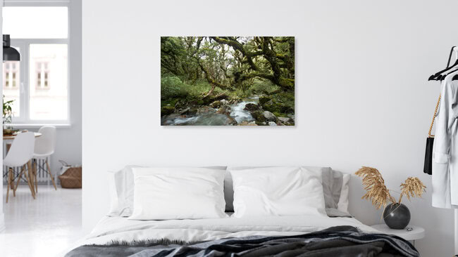 Im Ur-Wald von Neuseeland, Neuseeland – Fotokunst von Stefan Blawath als Poster oder Acrylglasbild