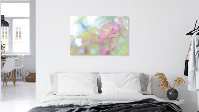 Pink Leaf, Deutschland – Fotokunst von Torsten Kupke als Poster oder Acrylglasbild