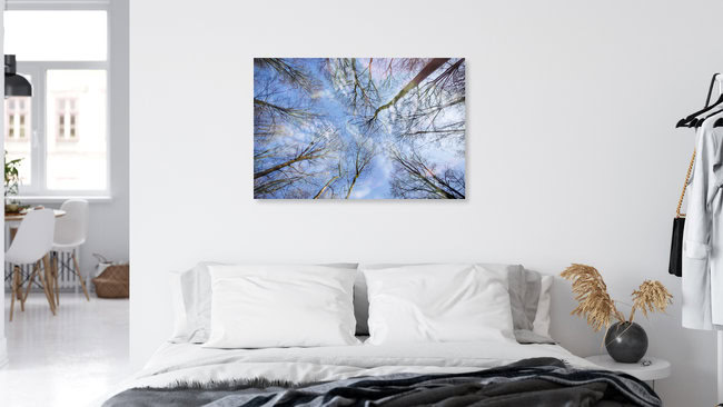 Wald Himmel Doppelbelichtung, Deutschland – Fotokunst von Nadja Jacke als Poster oder Acrylglasbild