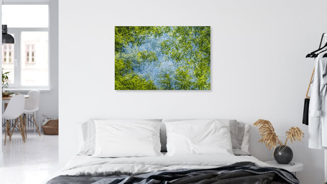 Waldhimmel mit Bäumen im Frühling Mehrfachbelichtung, Deutschland – Fotokunst von Nadja Jacke als Poster oder Acrylglasbild