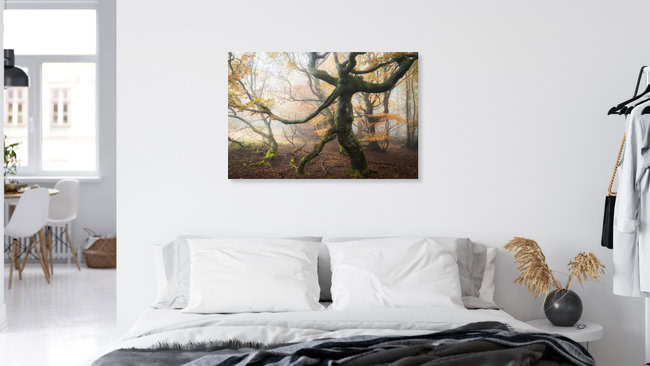 Creatures of the woods V, Germany – wall art by Heiko Gerlicher as Poster or Acrylic Glass Print