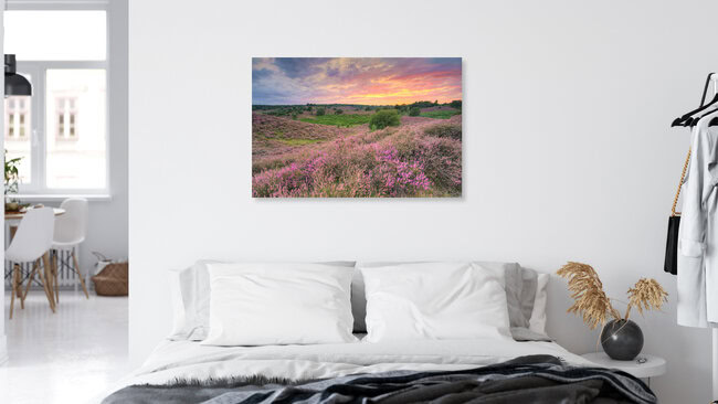 Heath bloom in the Veluwezoom National Park, Netherlands – wall art by Michael Valjak as Poster or Acrylic Glass Print