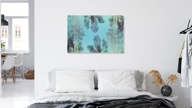 Birken gedoppelt, Deutschland – Fotokunst von Nadja Jacke als Poster oder Acrylglasbild