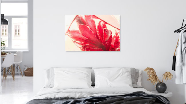 Ingwerblüte in kristallklarem Eis 3, Deutschland – Fotokunst von Marc Heiligenstein als Poster oder Acrylglasbild