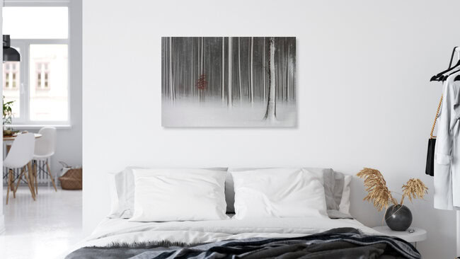 Strichcode Wald, Deutschland – Fotokunst von Roswitha Schleicher-Schwarz als Poster oder Acrylglasbild