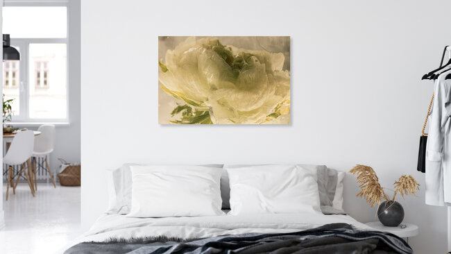 Weiße Ranunkelblüte in kristallklarem Eis, Deutschland – Fotokunst von Marc Heiligenstein als Poster oder Acrylglasbild