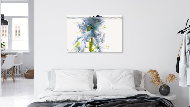 Blaustern durchbricht das Eis, Deutschland – Fotokunst von Marc Heiligenstein als Poster oder Acrylglasbild