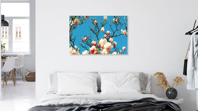 Magnolien, Deutschland – Fotokunst von Manuela Deigert als Poster oder Acrylglasbild