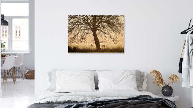 Rehe im Sonnenaufgang, Deutschland – Fotokunst von Nils Steiner als Poster oder Acrylglasbild