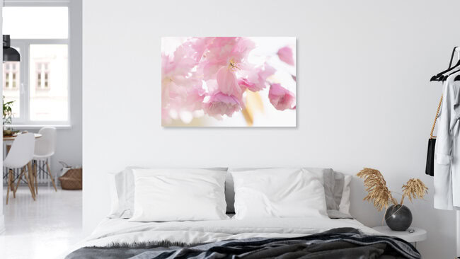Cherry Blossom in Backlight, Germany – wall art by Nadja Jacke as Poster or Acrylic Glass Print