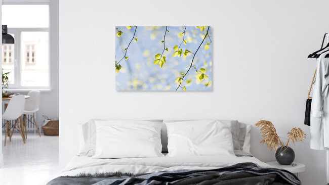 Young linden leaves in spring light, Germany – wall art by Nadja Jacke as Poster or Acrylic Glass Print