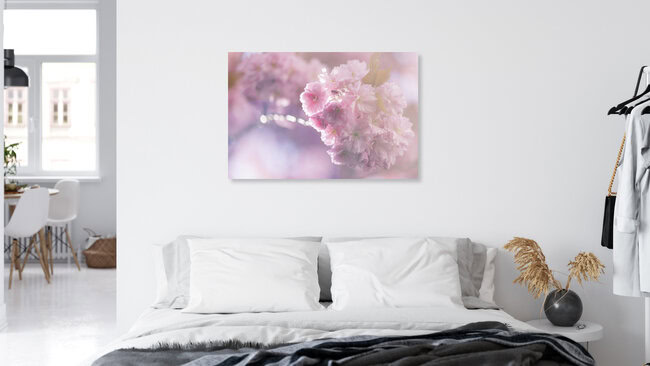 Kirschblüten im Gegenlicht, Deutschland – Fotokunst von Nadja Jacke als Poster oder Acrylglasbild