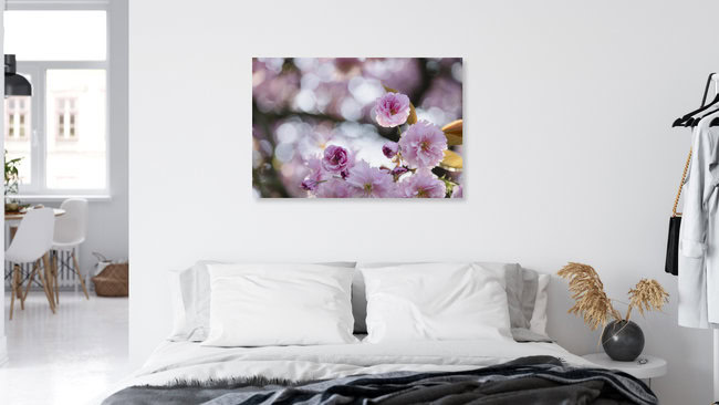Cherry Blossoms, Germany – wall art by Nadja Jacke as Poster or Acrylic Glass Print