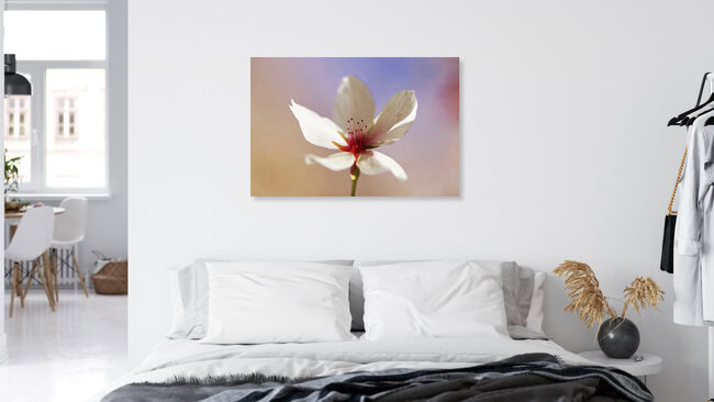 In voller Blüte, Deutschland – Fotokunst von Manuela Deigert als Poster oder Acrylglasbild