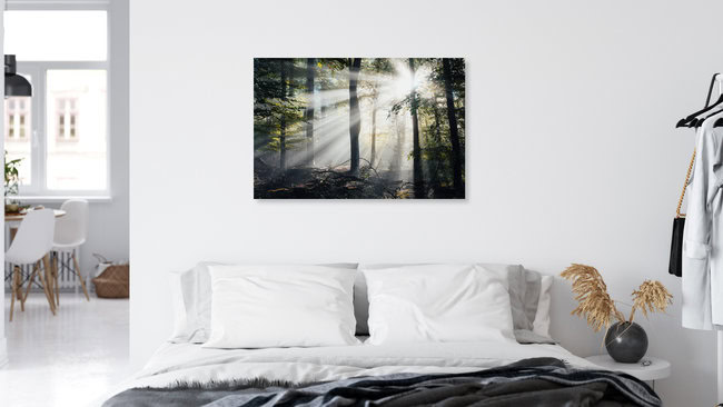 Mystischer Reinhardswald, Deutschland – Fotokunst von Maximilian Fischer als Poster oder Acrylglasbild