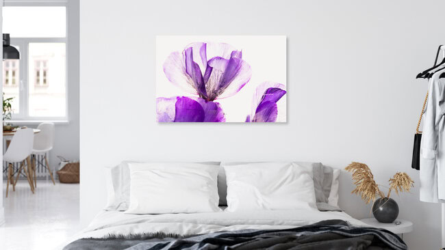 Pinke Blüten der Flammenblumen in Eis, Deutschland – Fotokunst von Marc Heiligenstein als Poster oder Acrylglasbild