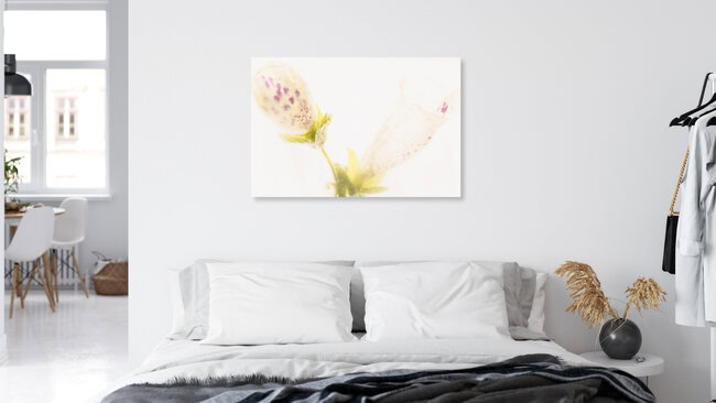 Fingerhut-Blüten in Eis, Deutschland – Fotokunst von Marc Heiligenstein als Poster oder Acrylglasbild