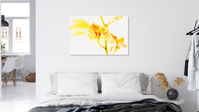 Oncidium in Eis 2, Deutschland – Fotokunst von Marc Heiligenstein als Poster oder Acrylglasbild