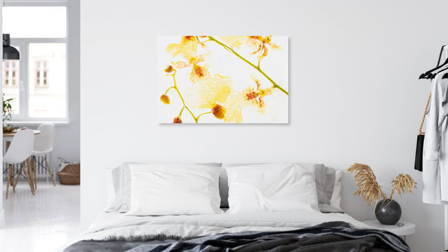 Gelb-Rote Oncidium in Eis, Deutschland – Fotokunst von Marc Heiligenstein als Poster oder Acrylglasbild