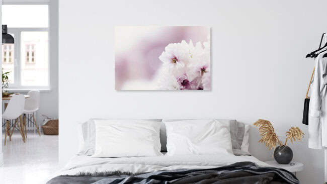 Light Cherry Blossoms with Soft Background, Germany – wall art by Nadja Jacke as Poster or Acrylic Glass Print