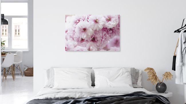 Close-Up of Pink Cherry Blossoms, Germany – wall art by Nadja Jacke as Poster or Acrylic Glass Print