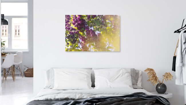 Lilac Blossoms in Sunlight, Germany – wall art by Nadja Jacke as Poster or Acrylic Glass Print
