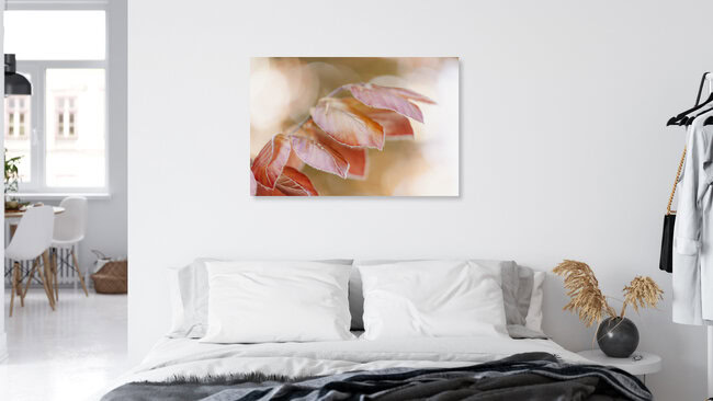 Copper Beech Leaves in Backlight, Germany – wall art by Nadja Jacke as Poster or Acrylic Glass Print