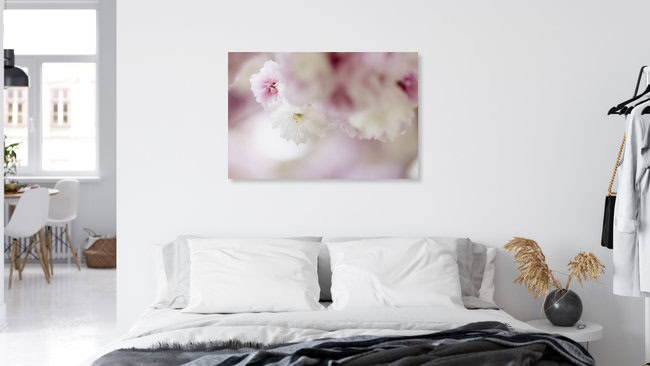 White Cherry Blossom with Pastel Background, Germany – wall art by Nadja Jacke as Poster or Acrylic Glass Print