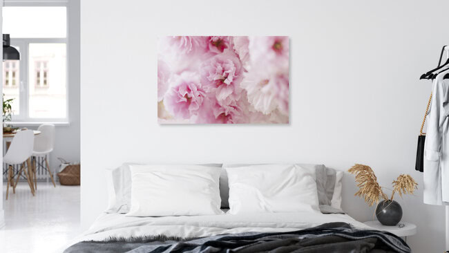 Pink Cherry Blossoms in Soft Light, Germany – wall art by Nadja Jacke as Poster or Acrylic Glass Print