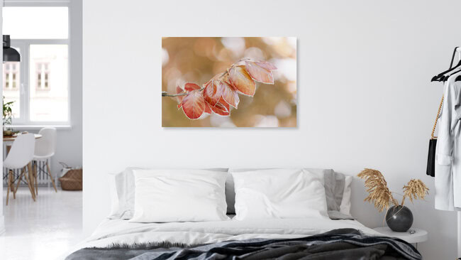Young Copper Beech Leaves in Spring, Germany – wall art by Nadja Jacke as Poster or Acrylic Glass Print