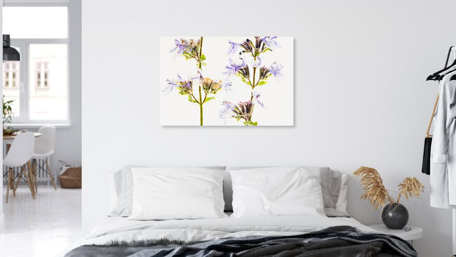 2 shoots of catnip in ice, Germany – wall art by Marc Heiligenstein as Poster or Acrylic Glass Print