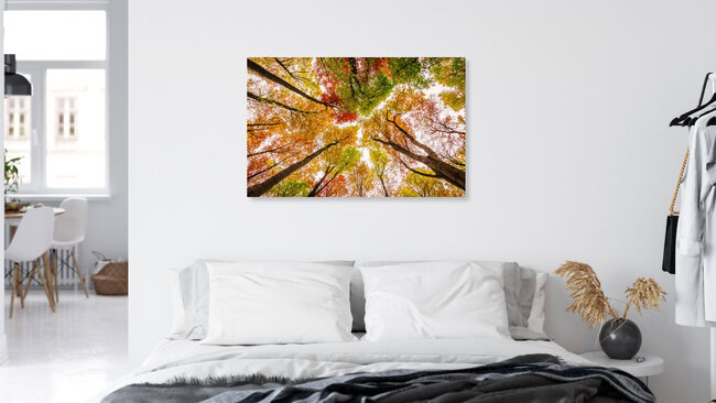 Die Farben des Herbstes, Germany – wall art by Heiko Gerlicher as Poster or Acrylic Glass Print
