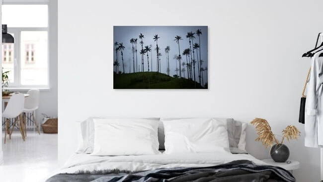 Quindio wax palms, Colombia – wall art by Jonas Schleske as Poster or Acrylic Glass Print
