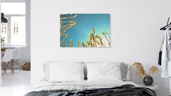 corn field, Germany – wall art by Martin Bliedung as Poster or Acrylic Glass Print
