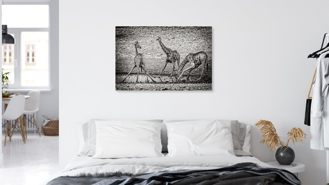 giraffe at waterhole A, Namibia – Fotokunst von Franzel Drepper als Poster oder Acrylglasbild