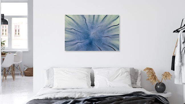 Blütenstand, Deutschland – Fotokunst von Gregor Ingenhoven als Poster oder Acrylglasbild