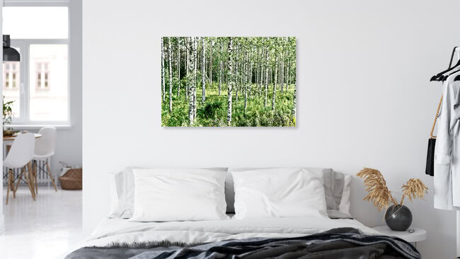Birken, Finnland – Fotokunst von Tim Bendixen als Poster oder Acrylglasbild