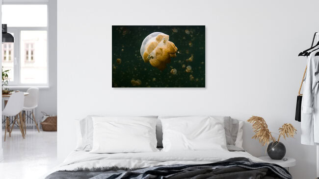 Jellyfish Lake, Mikronesien – Fotokunst von Boris Buschardt als Poster oder Acrylglasbild